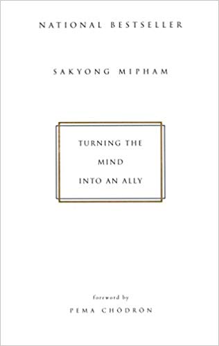Sakyong Mipham - Turning the Mind Into an Ally Audio Book Free